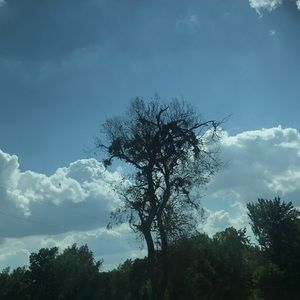 Meet your Posher, Madi